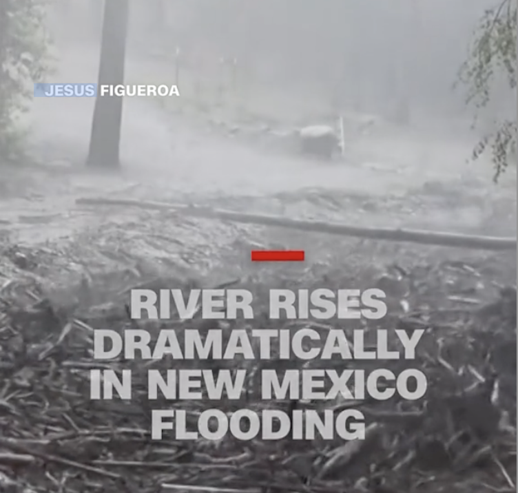 Disaster Preparedness And Its Role in Protecting Animals and Humans From Loss of Life