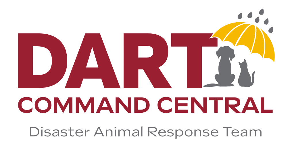 Securing 501-c3 Status