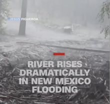 Disaster Preparedness And Its Role in Protecting Animals and Humans From Loss of Life